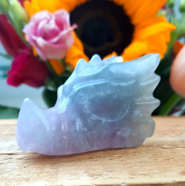 Draken schedel (Fluoriet)