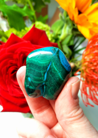 Malacolla (Congo) 02