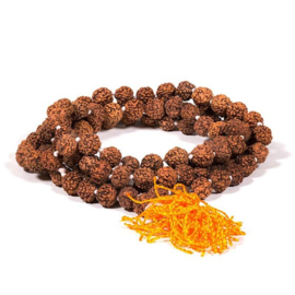 Mala met Rudraksha