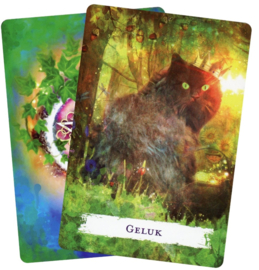 Wicca rituelen & bezweringen orakelkaarten