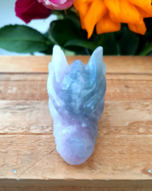 Draken schedel (Fluoriet)