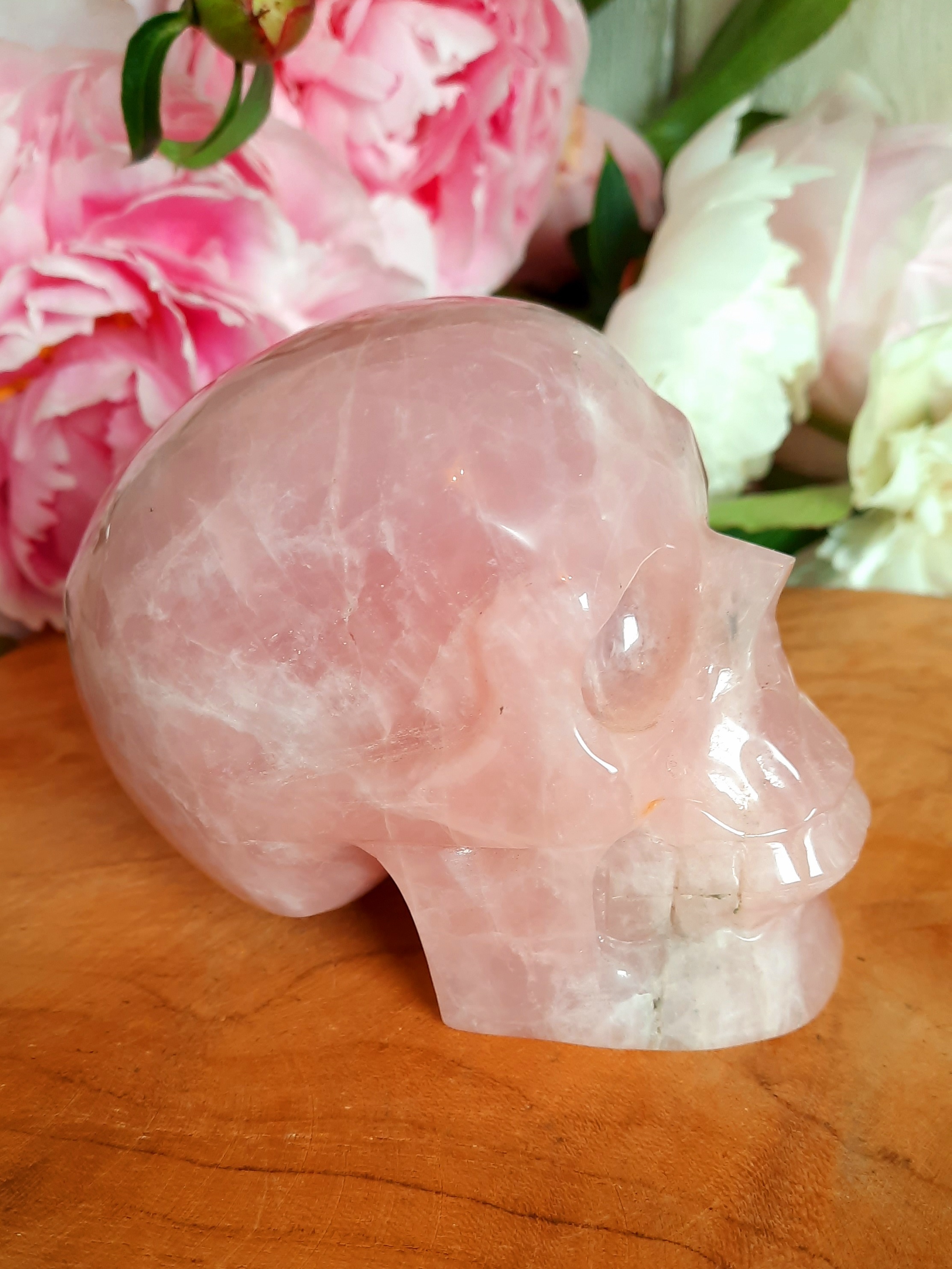Rozenkwarts schedel/skull