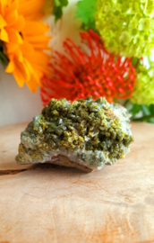 Epidoot (Marokko) 02