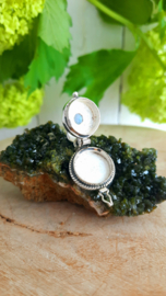 Poison / Secret Locket hanger Robijn (02)