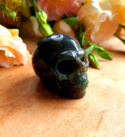 Schedel / Skull van Mosagaat