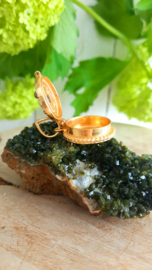 Poison / Secret Locket hanger (goud op zilver) Labradoriet