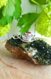 Poison / Secret Locket hanger Robijn (02)