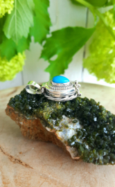 Poison / Secret Locket hanger (Kingman) Turkoois