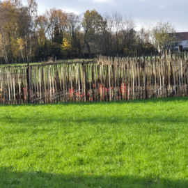 Kastanjehekwerk Compleet Pakket - 10 Meter (Hoogte 1m)