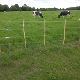 Draadpoort hoogte 120 cm – zwaar verzinkt met hefboomsysteem