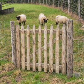 Portail en robinier (acacia) 100 cm – durable avec quincaillerie incluse