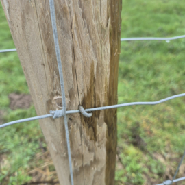 Krammen verzinkt – 1 kg