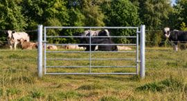 Poteau galvanisé avec gonds pour portail de prairie – 200 cm – Ø 115 mm