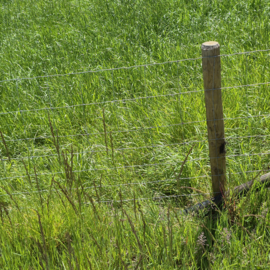 Schapendraad 100/15/15 – rijk verzinkt -50 m