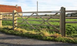 Portail de prairie – Hauteur 1,20 m x Largeur 3,00 m