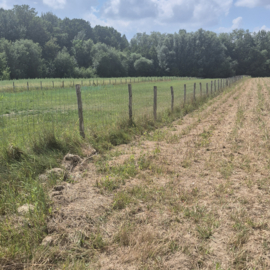 Compleet schapendraadpakket 100 meter met kastanjepalen Ø 10–12 cm - hoogte 1m