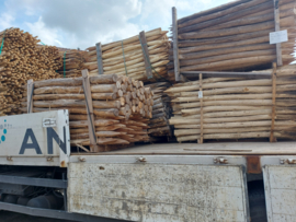 Acaciahouten Palen Ø 6/8 cm – 200 cm | Duurzaam & Ecologisch