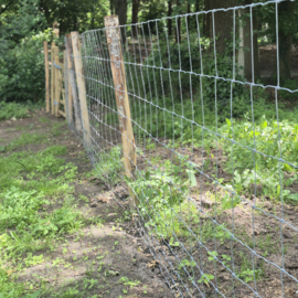 Fil de mouton lourd 140/11/15 (lourd)50 m Alu/zinc