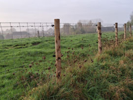 "Zwaar Schapendraad 140 cm – Heavy 50 m Alu/Zink voor Maximale Sterkte en Langdurige Beveiliging"