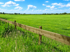 Ranch planken