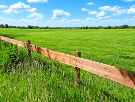 Planches ranch