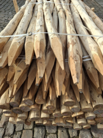 Acaciahouten Palen Ø 6/8 cm – 200 cm | Duurzaam & Ecologisch