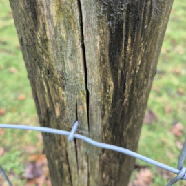 Harpoenkrammen voor schapendraad – per kg