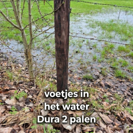 Dura² paal Ø 9 cm × 160 cm