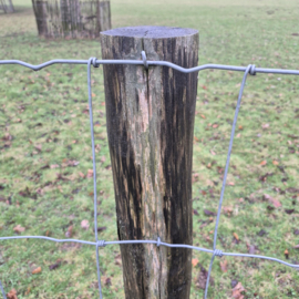 Krammen verzinkt – 1 kg