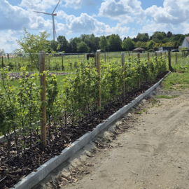 Geïmpregneerde Weidepalen Ø 10 cm – Lengte 200 cm – Rondgefreesd