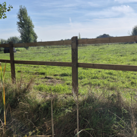 Traverse en pin imprégné pour clôture de chevaux – 3 m