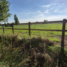 Traverse en pin imprégné pour clôture de chevaux – 3 m