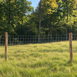 Professionele Wolfafsluiting 100m – Compleet Pakket met Speciaal Geknoopt Gaas + 3 Stroomdraden