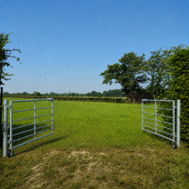 Double portail métallique de prairie galvanisé 305 × 115 cm | 7 barres