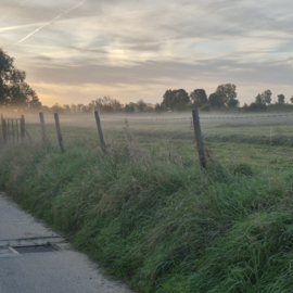 Prikkeldraad afsluiting met geschilde palen – 3 rijen (250 m)