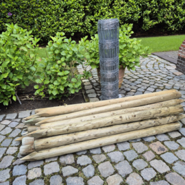 Weidepaal Ø 8 × 200 cm – geschilde