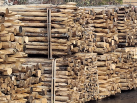 Poteaux en Châtaignier Ø 8/10 cm – 180 cm | Durables & Écologiques