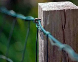 Krammen verzinkt – 1 kg