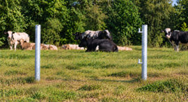 Poteau galvanisé avec gonds pour portail de prairie – 200 cm – Ø 115 mm