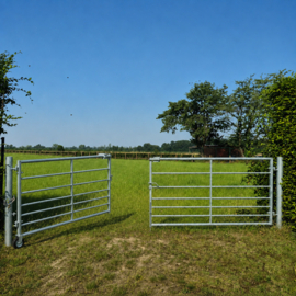 Double portail métallique de prairie galvanisé 305 × 115 cm | 7 barres