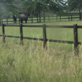 Paardenafsluiting paal 235 cm – 70 × 150 mm (geïmpregneerd)