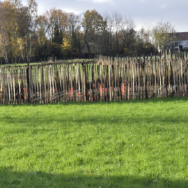 Kastanje hekwerk op rol – 100 cm – 10 m – Franse kastanje