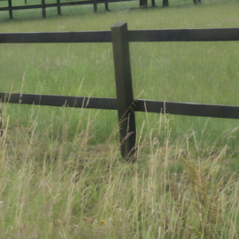 Paardenafsluiting paal 235 cm – 70 × 150 mm (geïmpregneerd)