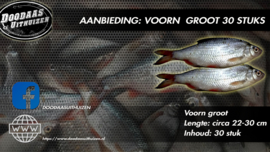 Aanbieding voorn groot 30 stk