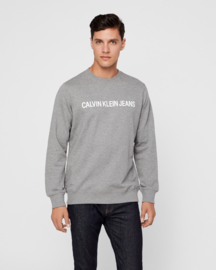 Pullover Calvin Klein