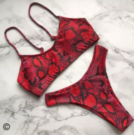 Bikini "SnakePrint"