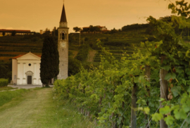 Villa Rubini Ribolla Gialla Vigna Aratorio di Praducello 2019