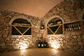 Provolo Amarone della Valpolicella DOCG  2015