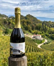Divigna  Costabavera Brut DOCG 2025