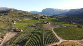Cantina Berritta Tziu Martine  Vermentino  DOC 2025